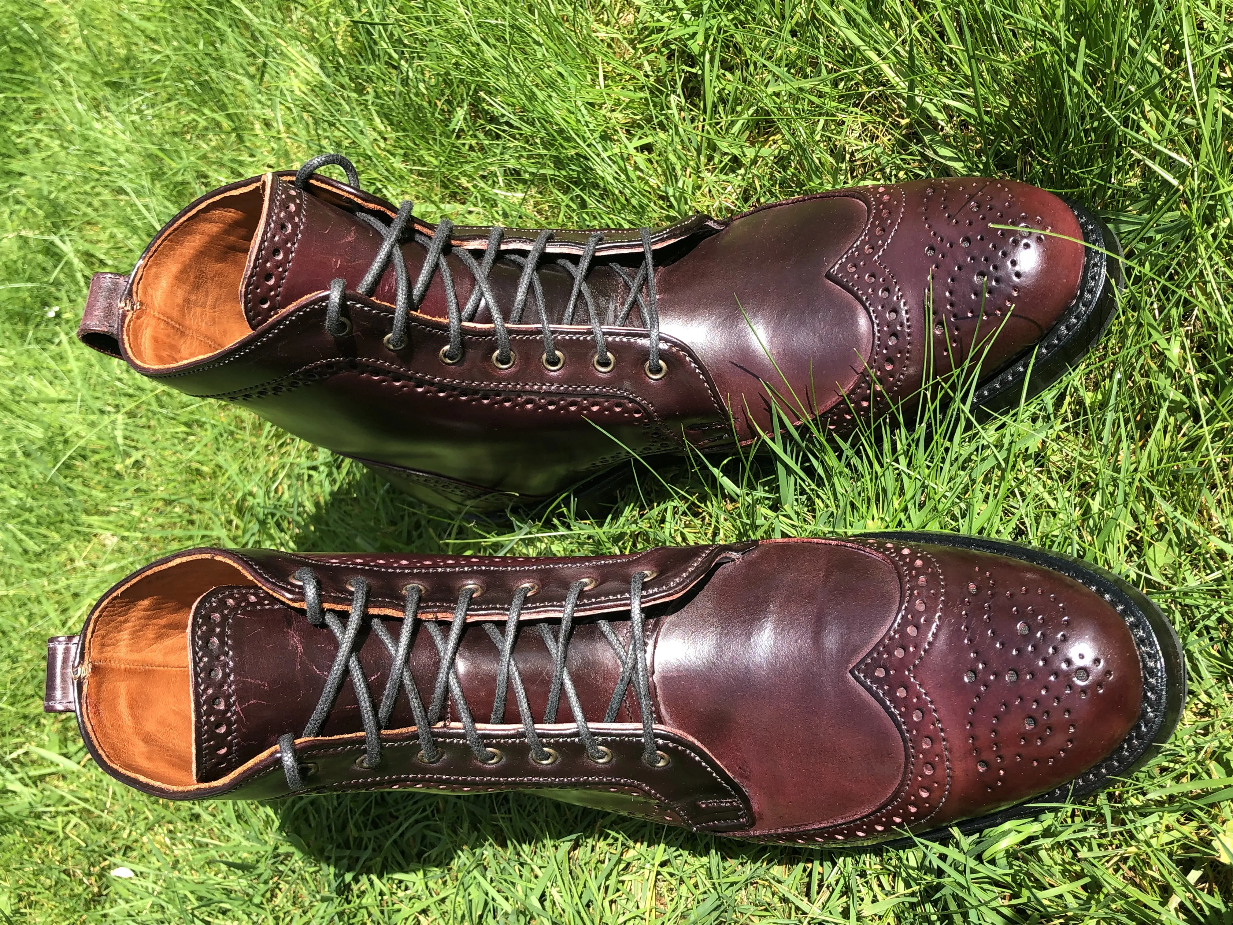 Dalton shell cordovan