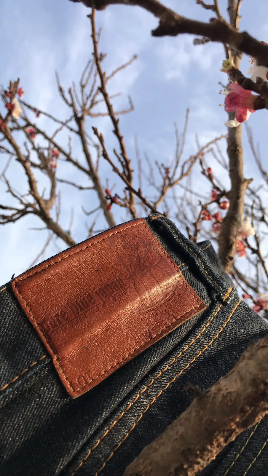 PURE BLUE JAPAN ARTISANAL INDIGO PURE DYED SELVEDGE JEANS