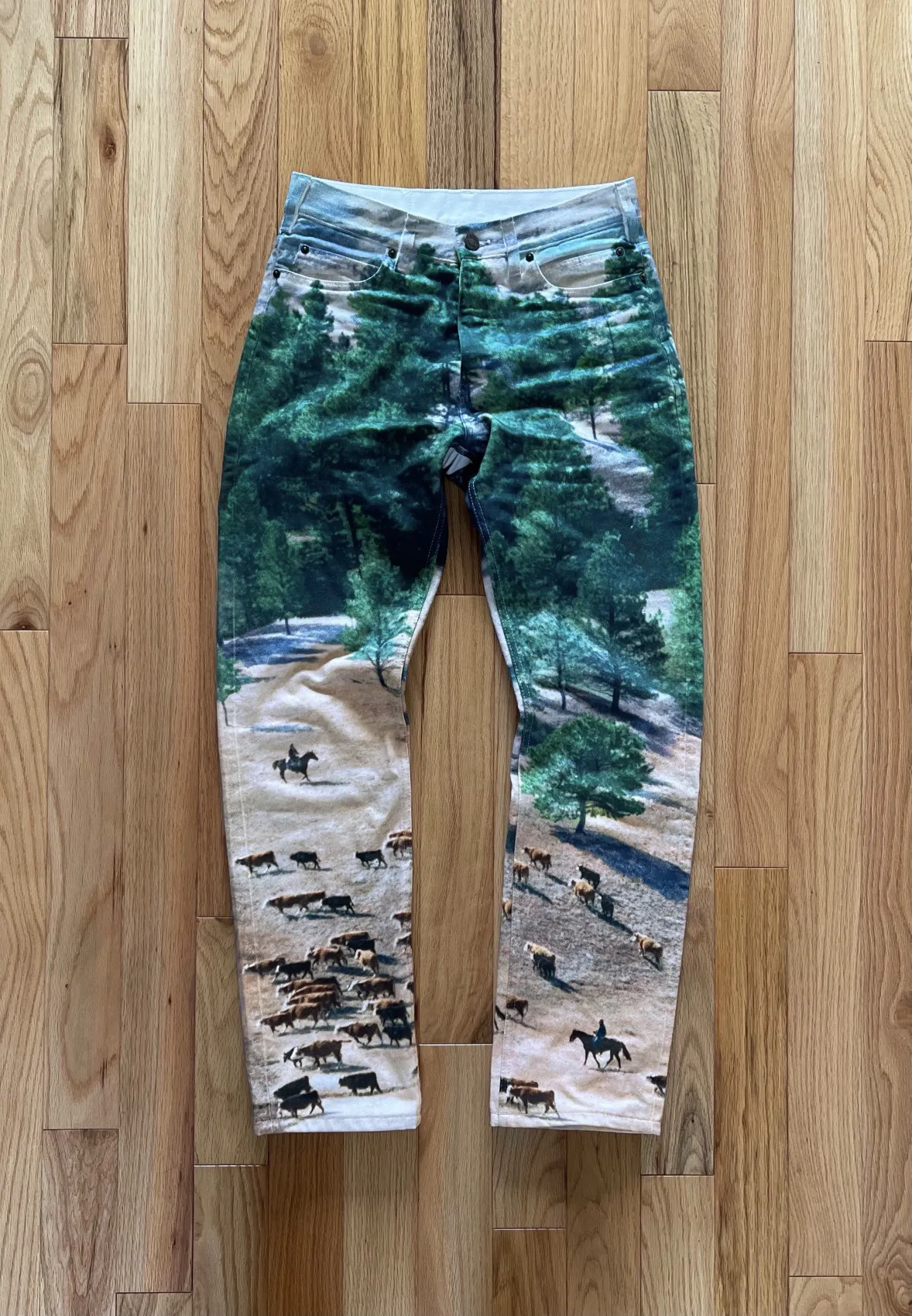 Calvin Klien CK205W39Nyc By Raf Simons Landscape Print Denim