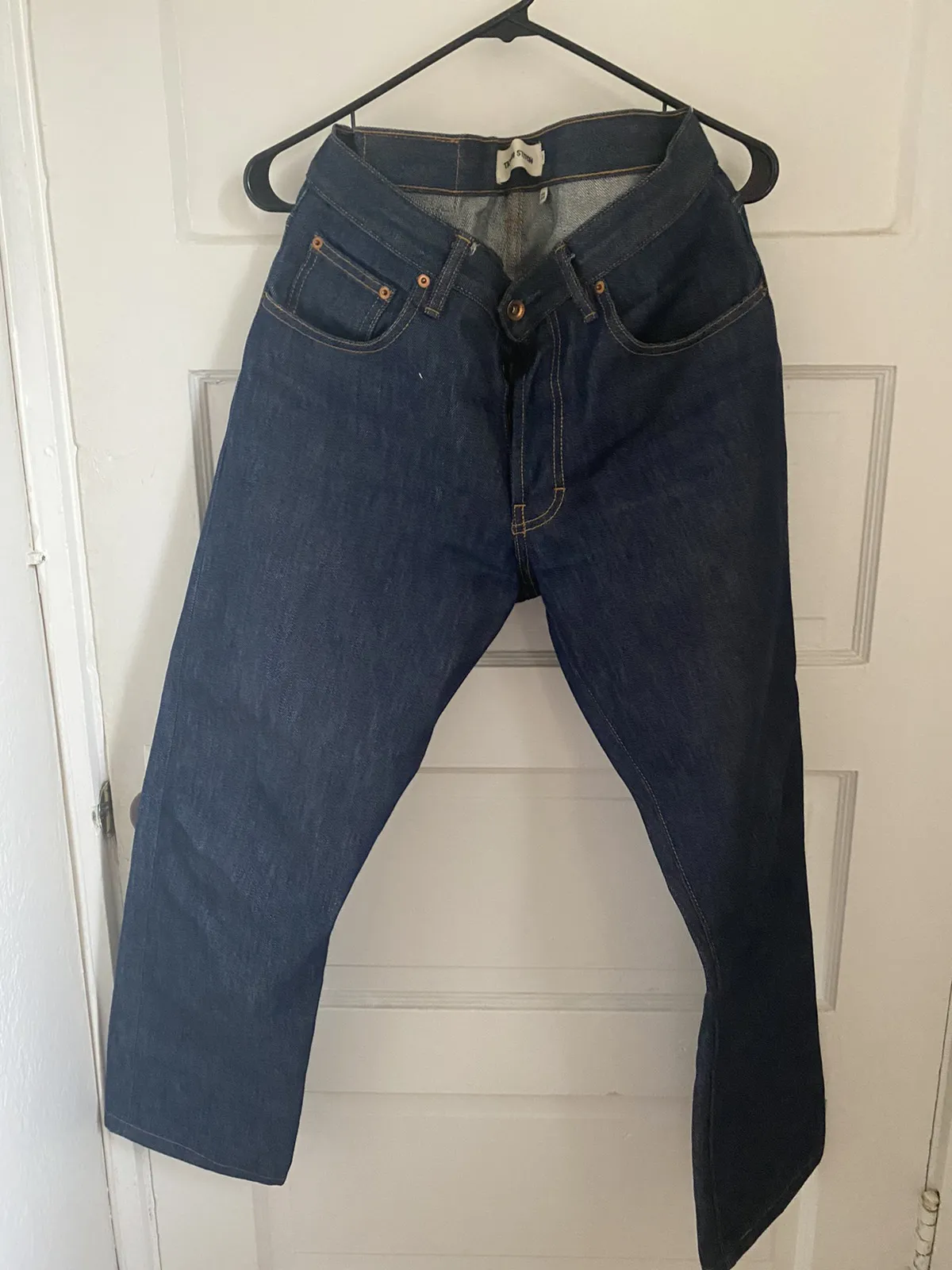 Taylor Stitch Townsend Democratic - 30