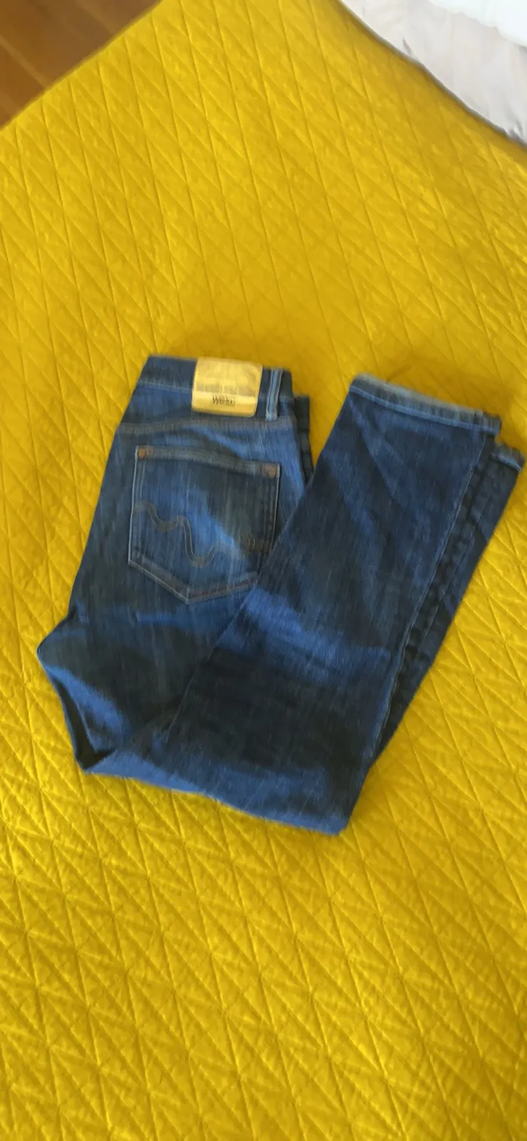 WESC KELVINs