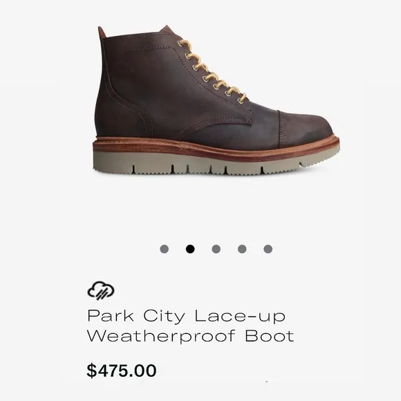 Allen Edmonds "PARK CITY" Boots WEATHERPROOF 8 3E Snuff Waxed Suede (834)