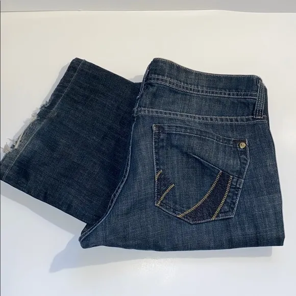 Dry Aged Denim James Jeans Size 29