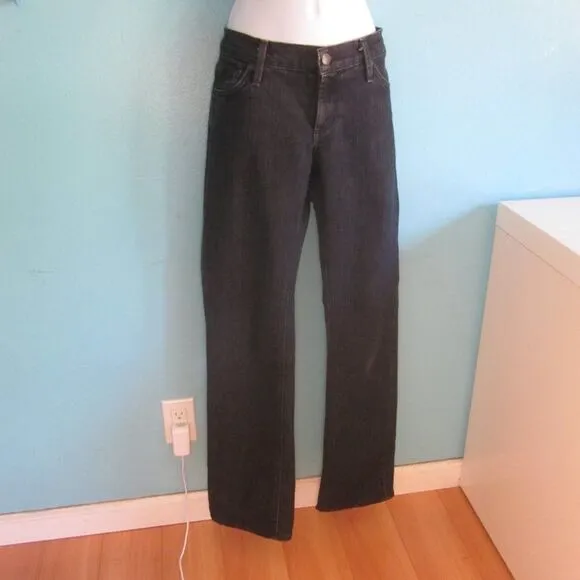 James Jeans Dry Aged Denim “Tom” Size 28 Straight Leg Mens Raw Blue Made in USA