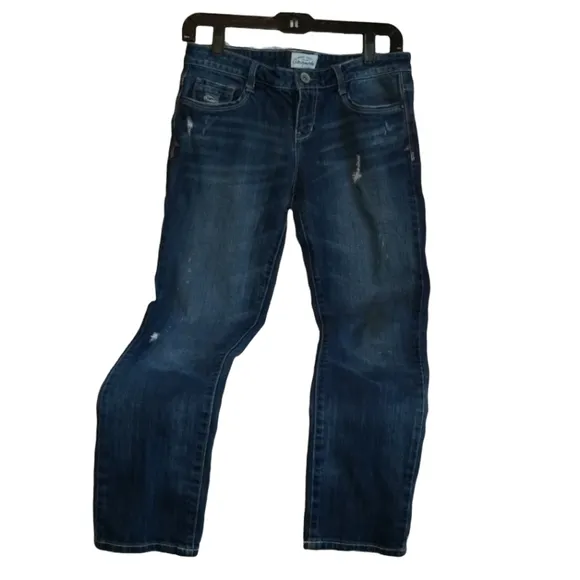 Aeropostale Bayla Distressed Skinny Jeans Size 5