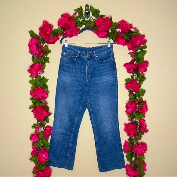 Anine Bing Anya High Waisted Jeans Size 30