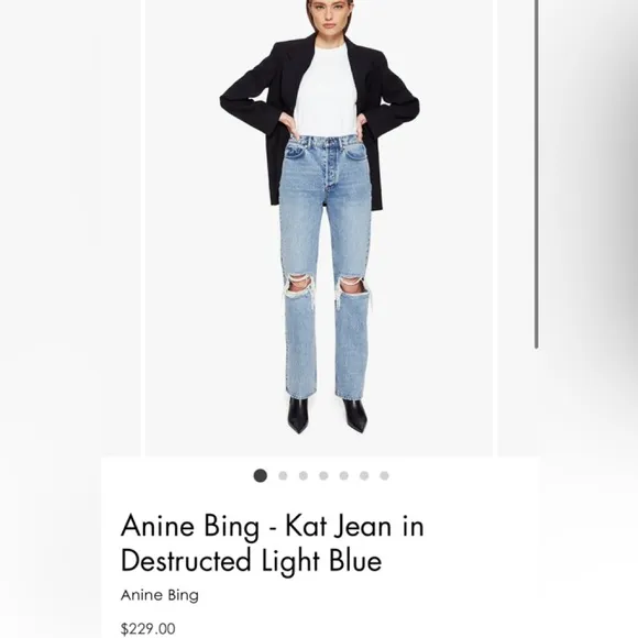Anine Bing Kat Jean size 30 EUC