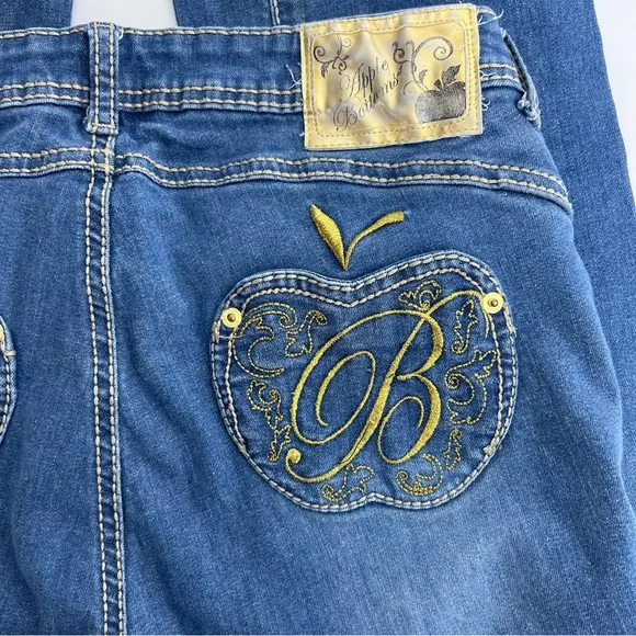 Vintage Apple Bottom Flared Jeans Women’s Size 9/10