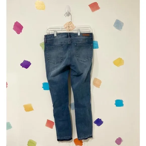 Sz 29 Articles of Society // Medium Wash Skinny Jeans