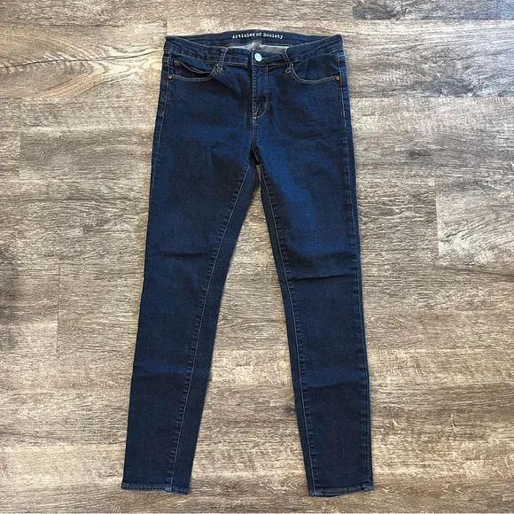 Articles of Society Melrose Denim Skinny Jeans in Size 30