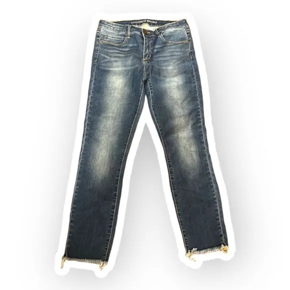 ARTICLES Of Society Skinny Jeans