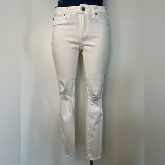 Articles Of Society Sarah Skinny Whitehall Denim Jean- Women’s Size 27