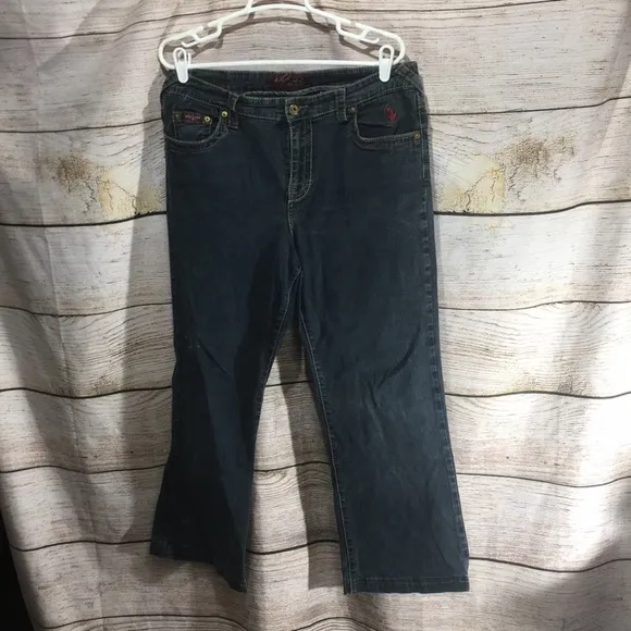 Baby Phat jeans size 16 embellished pockets puma