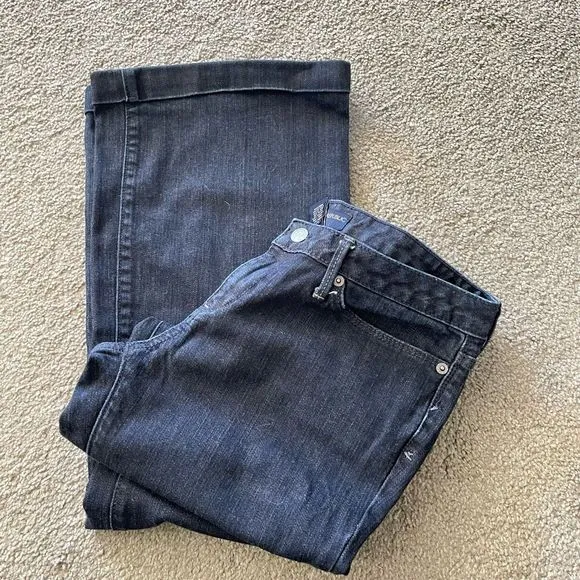 Banana Republic Vintage Flare Denim Jeans Size 4