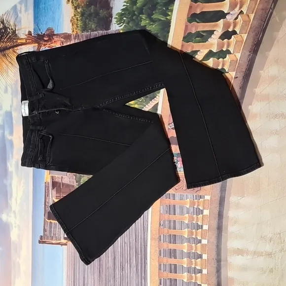 Cotton Citizen Pleated Jeans Size 25