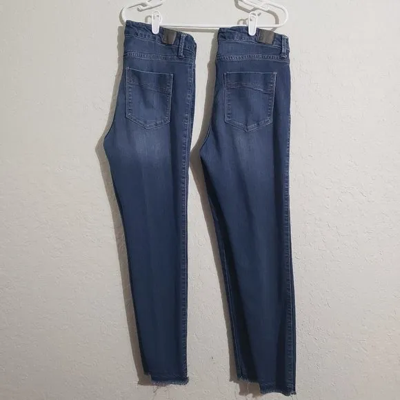 Denimocracy Los Angeles Skinny Ankle Jeans