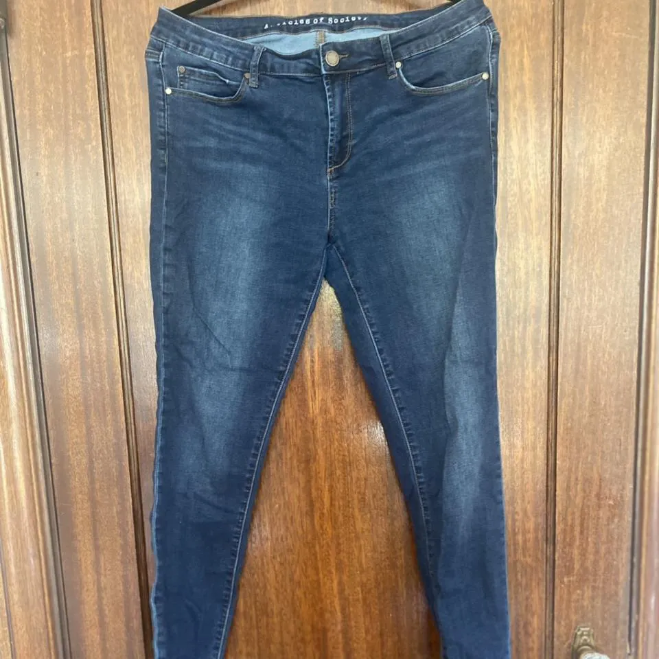 Articles of Society Women's Blue Jeans