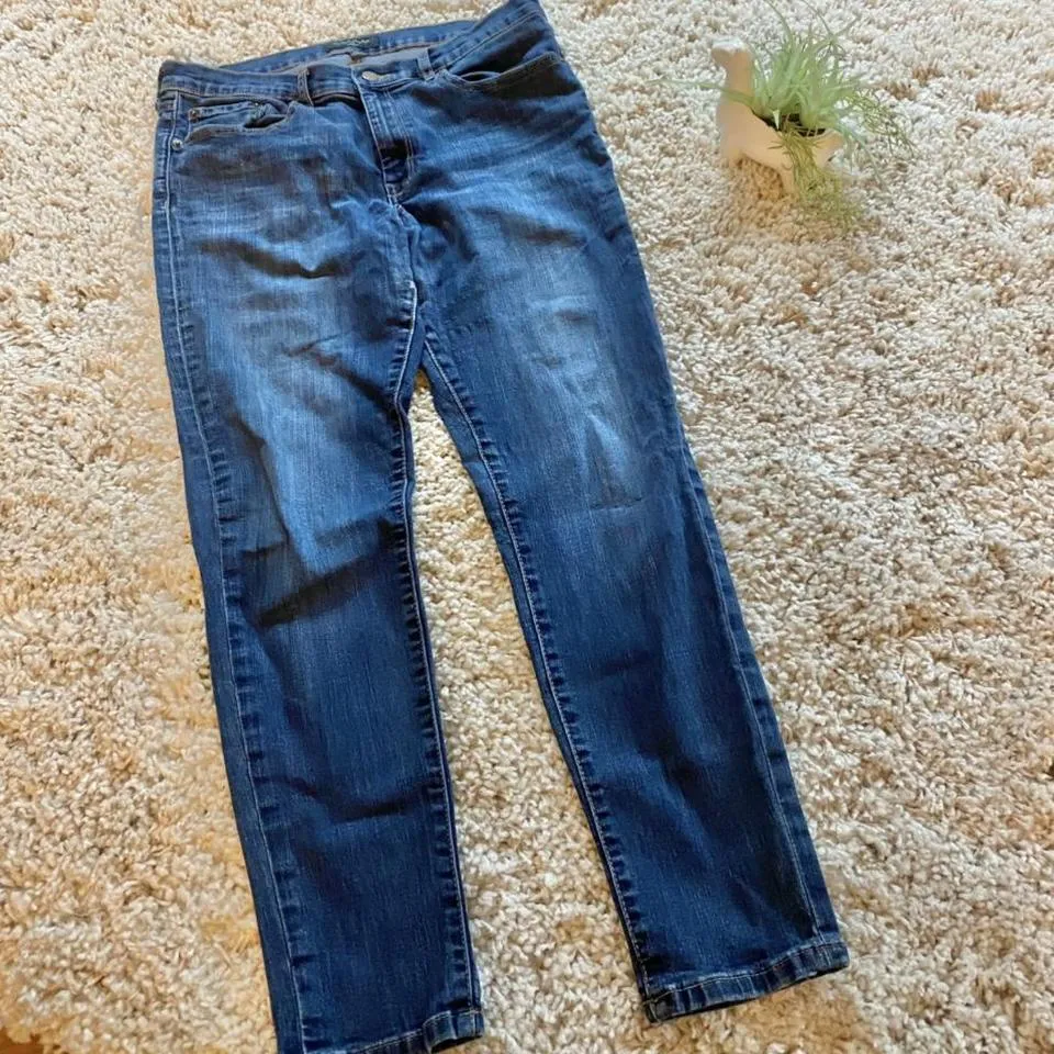 Banana Republic Women's Navy Jeans