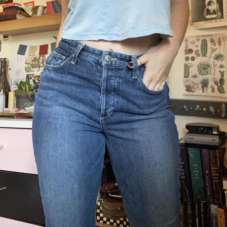 Joe's Jeans Women's Blue and Navy Jeans